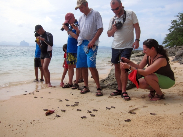 03 taking pics of turtles_small
