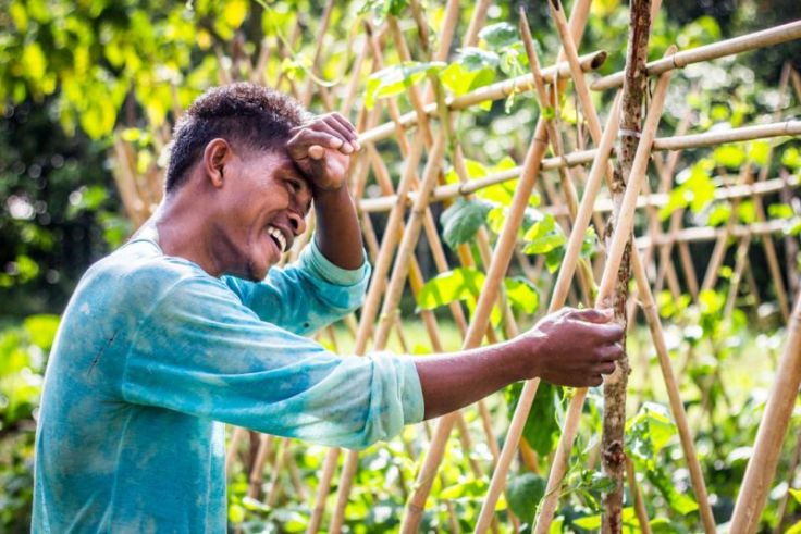 El Nido Resorts' organic farm is manned by local personnel and supply the resorts with fresh fruits and vegetables.