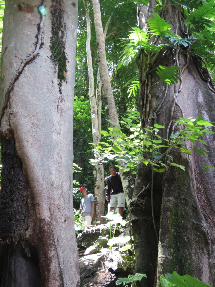 At last, the MRF boys have arrived! 