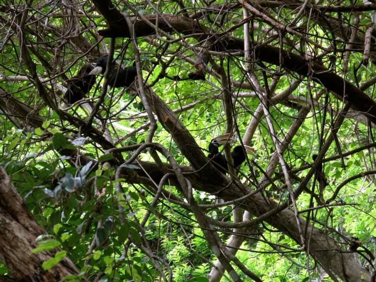 All four adults were screaming with joy, welcoming Baylo back to their arms. 