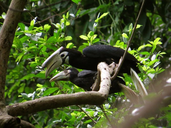Happier and safe under the loving arms of its parents.