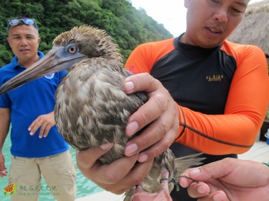 Miniloc guides during their initial rescue response
