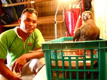 Kuya Jun, Booby’s rescuer, checking in on our patient