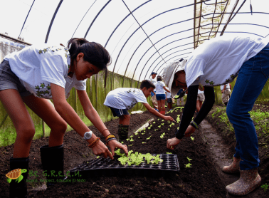 Yes, being a farmer is never easy