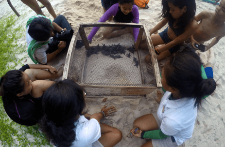 EO Alia and EO Elaine briefing the campers before releasing 37 green sea turtle hatchlings