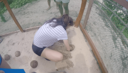 Screen Shot 2016-06-18 at 2.51.59 PM.png