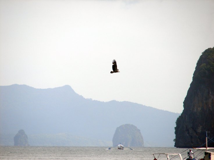 66306454_2196556273919144_4321212445281484800_o (1)