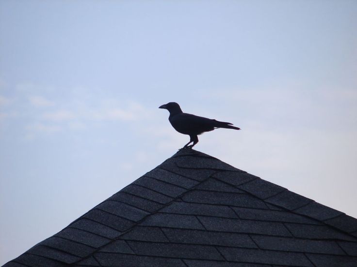 72532132_2265148853726552_5089145893362335744_o