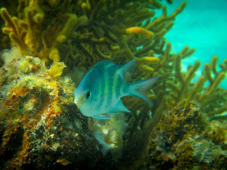 82826600_2358773487697421_5170938400143835136_o