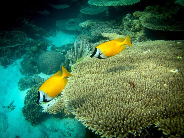 87155298_2385614941679942_2149028375937679360_o